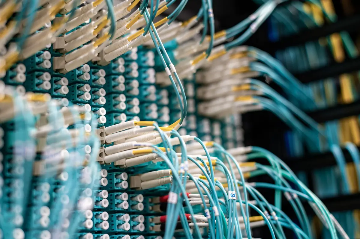 Fibre optic cables plugged into a data centre patch panel
